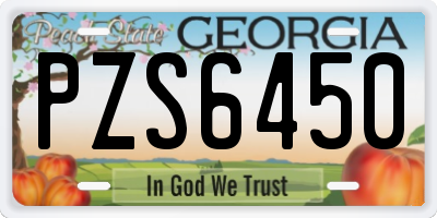 GA license plate PZS6450