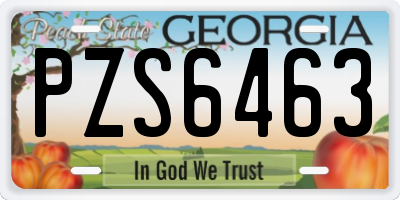 GA license plate PZS6463