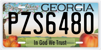 GA license plate PZS6480