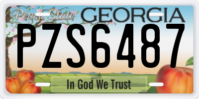 GA license plate PZS6487