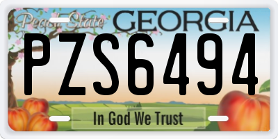 GA license plate PZS6494