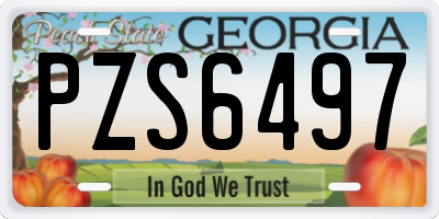 GA license plate PZS6497