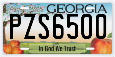 GA license plate PZS6500