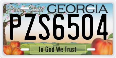 GA license plate PZS6504