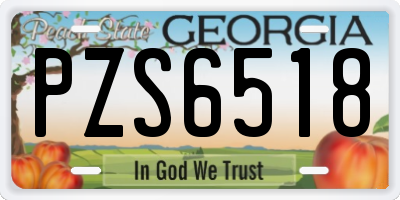 GA license plate PZS6518