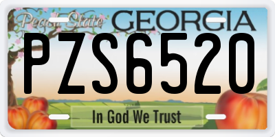 GA license plate PZS6520