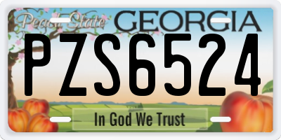GA license plate PZS6524