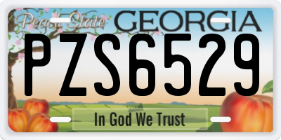 GA license plate PZS6529