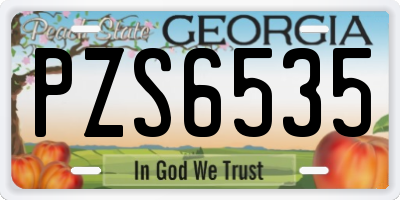 GA license plate PZS6535
