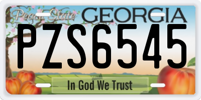 GA license plate PZS6545