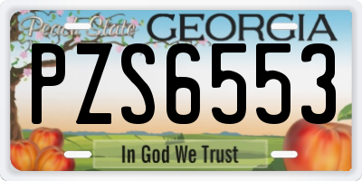 GA license plate PZS6553