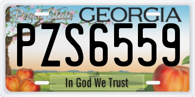 GA license plate PZS6559