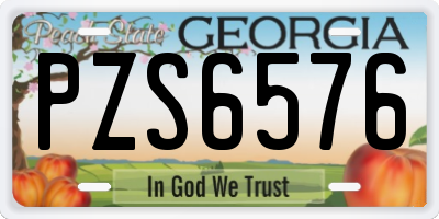 GA license plate PZS6576