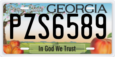 GA license plate PZS6589