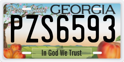 GA license plate PZS6593