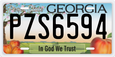GA license plate PZS6594