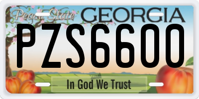 GA license plate PZS6600