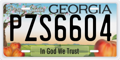 GA license plate PZS6604