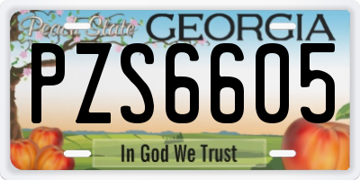 GA license plate PZS6605