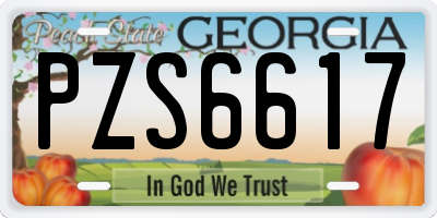 GA license plate PZS6617