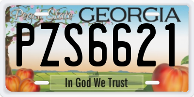 GA license plate PZS6621