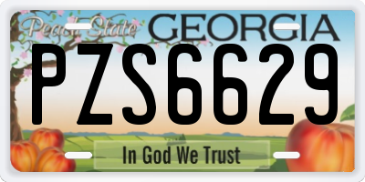 GA license plate PZS6629