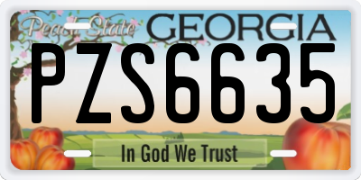 GA license plate PZS6635