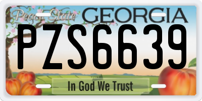 GA license plate PZS6639