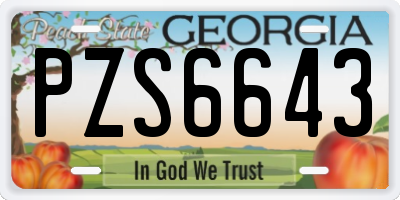 GA license plate PZS6643
