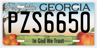 GA license plate PZS6650