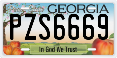 GA license plate PZS6669