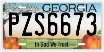 GA license plate PZS6673