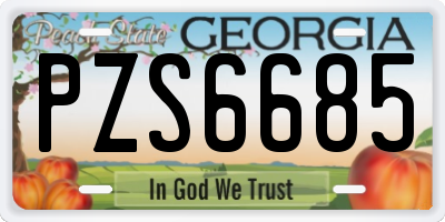 GA license plate PZS6685