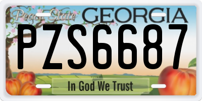 GA license plate PZS6687