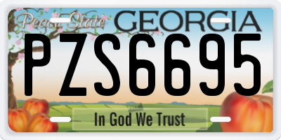 GA license plate PZS6695