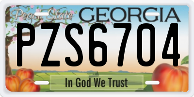 GA license plate PZS6704