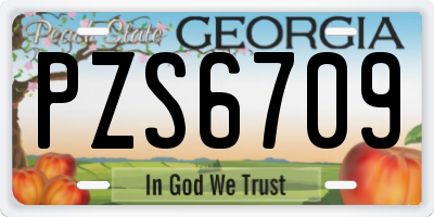 GA license plate PZS6709