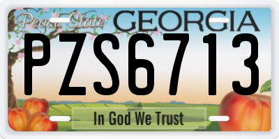 GA license plate PZS6713