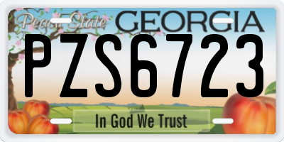 GA license plate PZS6723