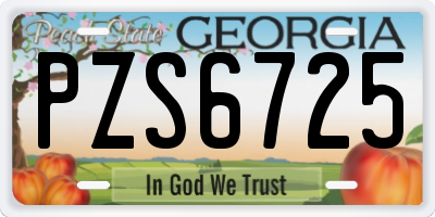 GA license plate PZS6725