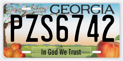 GA license plate PZS6742