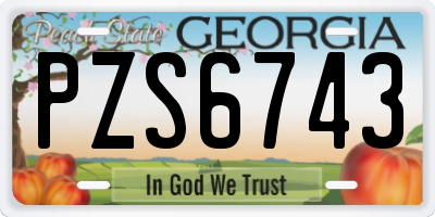 GA license plate PZS6743