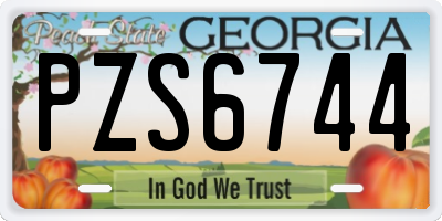 GA license plate PZS6744