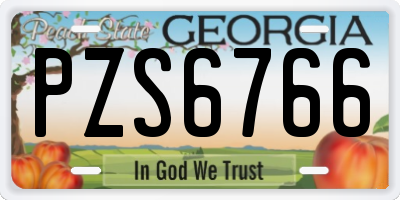 GA license plate PZS6766