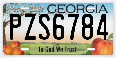 GA license plate PZS6784