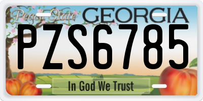 GA license plate PZS6785