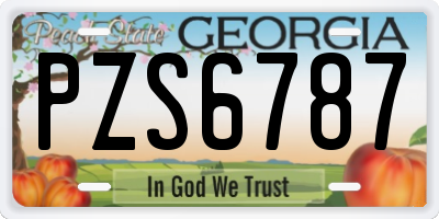 GA license plate PZS6787