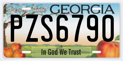 GA license plate PZS6790