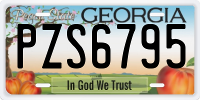 GA license plate PZS6795