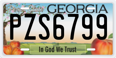 GA license plate PZS6799